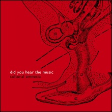 Cultural Amnesia - Did You Hear The Music cover